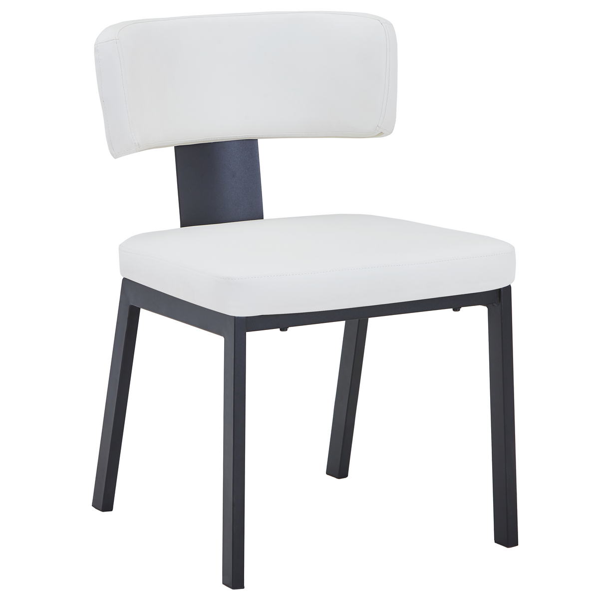 Teres Dining Chair with Leather Upholstery and Steel Legs