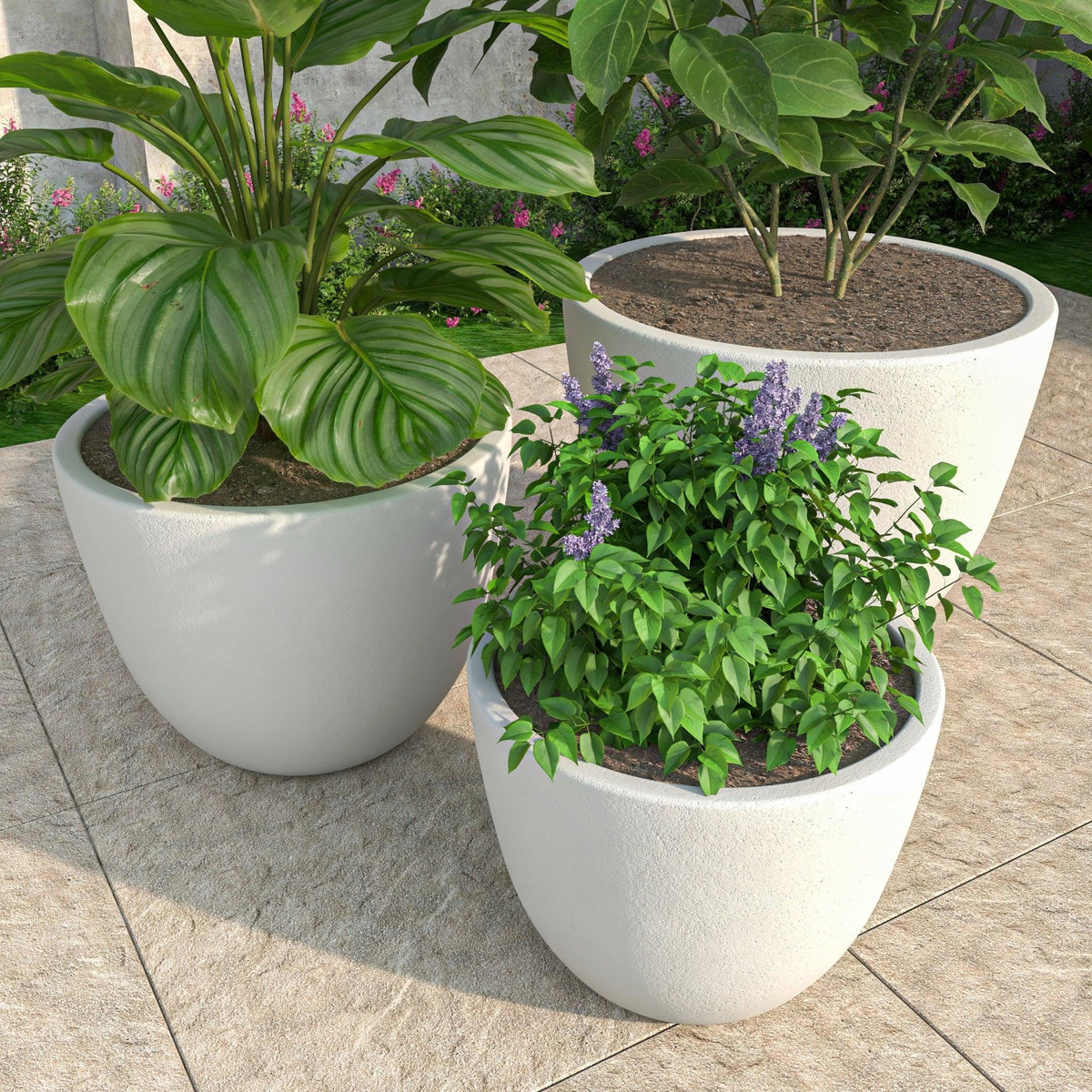 Dahlia 3-Piece Fiberstone and MGO Clay Planter Set, Mid-Century Modern Round Planter Pot for Indoor and Outdoor Home - Elax Furniture