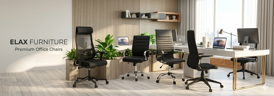 Best Office Chairs for Back Pain Support