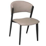 Aspen Dining Chairs Upholstered in Leather with Black Metal Legs