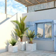 Sprout Modern Square Fiberstone and MGO Clay Planter for Indoor and Outdoor - Elax Furniture