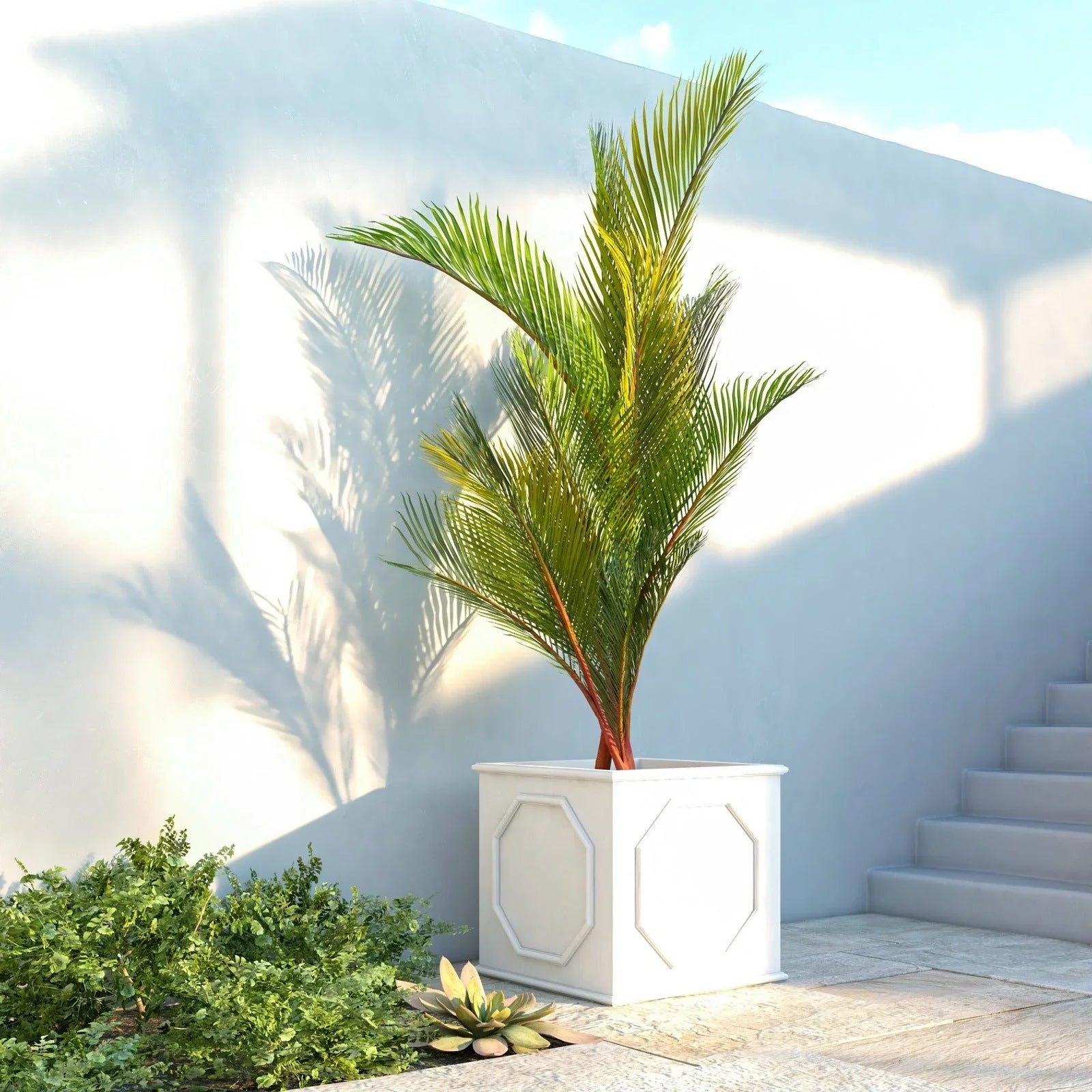 Sprout Modern Square Fiberstone and MGO Clay Planter for Indoor and Outdoor - Elax Furniture