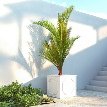 Sprout Modern Square Fiberstone and MGO Clay Planter for Indoor and Outdoor - Elax Furniture