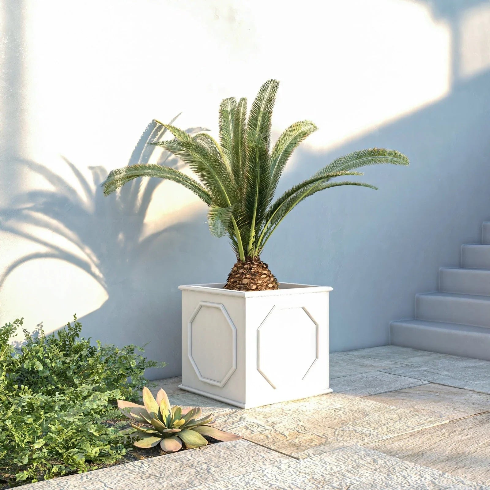 Sprout Modern Square Fiberstone and MGO Clay Planter for Indoor and Outdoor - Elax Furniture