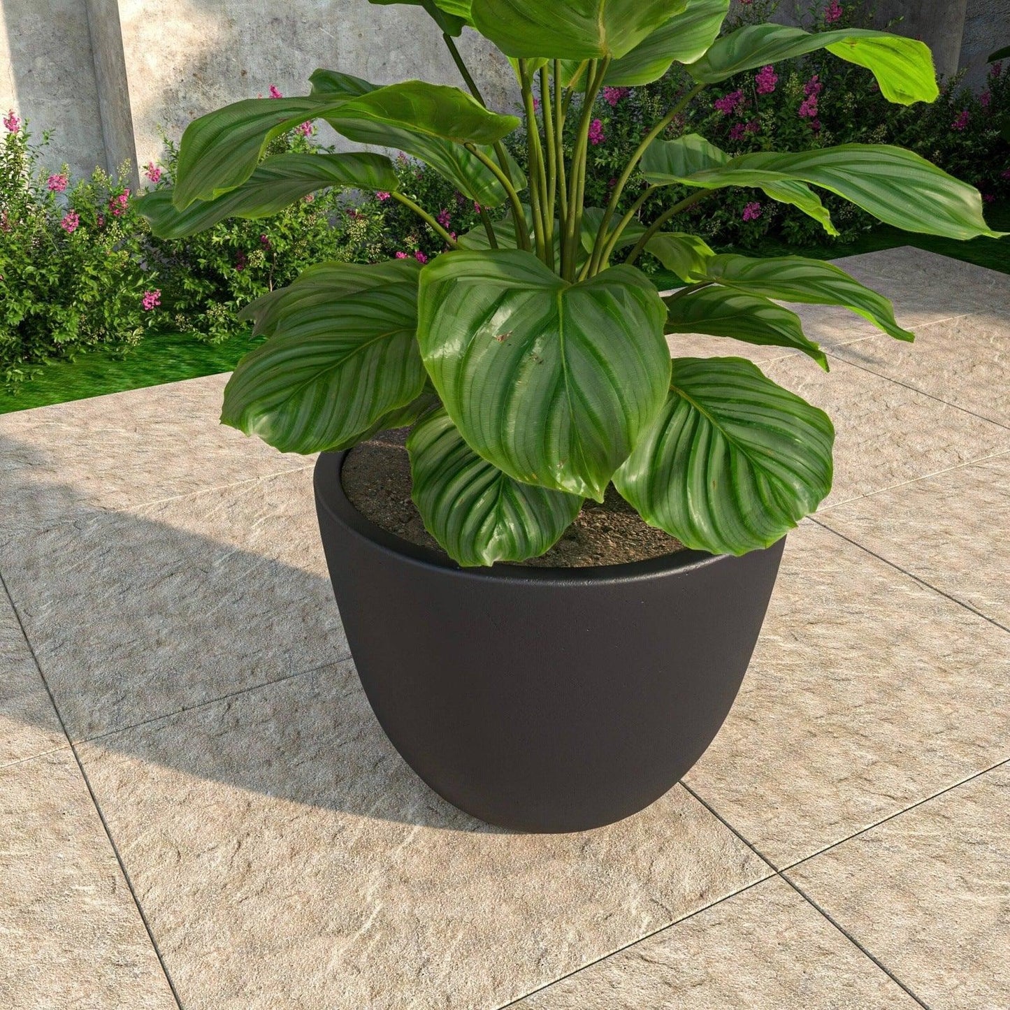 Dahlia Modern Fiberstone and MgO Clay Planter Pot for Indoor and Outdoor - Elax Furniture