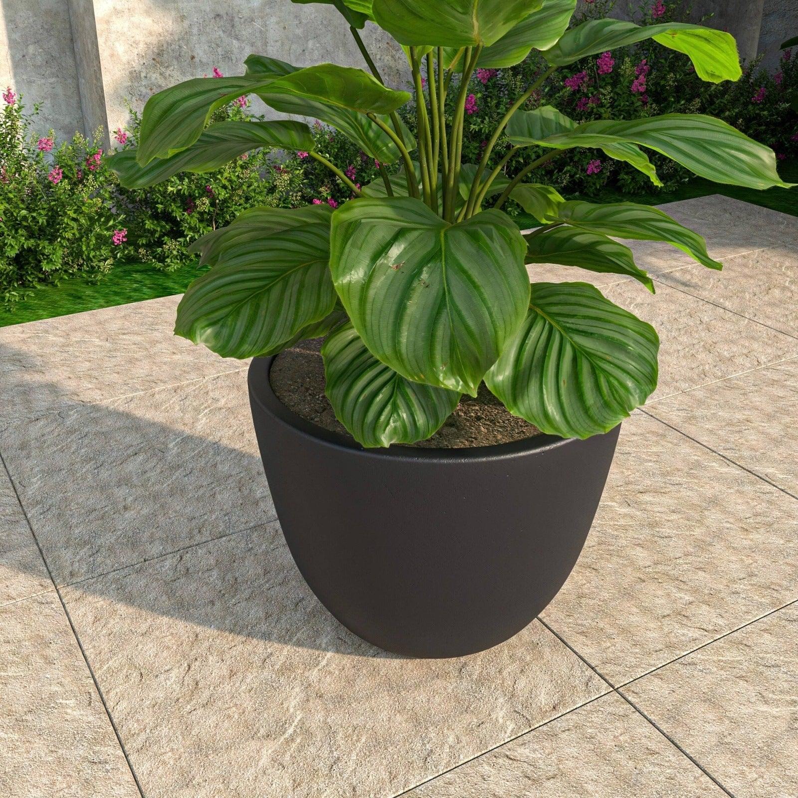 Dahlia Modern Fiberstone and MgO Clay Planter Pot for Indoor and Outdoor - Elax Furniture