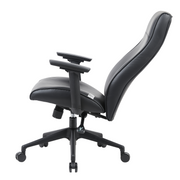 Maxwell Leather Office Chair Stainless Steel Frame and Nylon Base