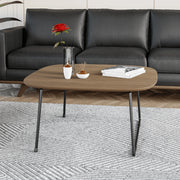 Pemborke Square Coffee Table with Oak Wood Table Top and Iron Frame - Elax Furniture