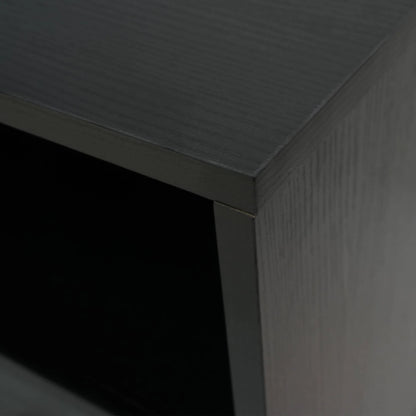 Rochester Modern Rectangular TV Stand: Enclosed Storage & Powder-Coated Iron Legs - Elax Furniture