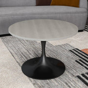 Verve 27” Round Coffee Table with MDF Top and Stainless Steel Base - Elax Furniture