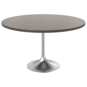 Verve Round Dining Table with MDF/Sintered Stone/Resin Tabletop in Silver Stainless Steel Pedestal Base MDF 48 Inch Dark Maple Dining Table Leisuremod