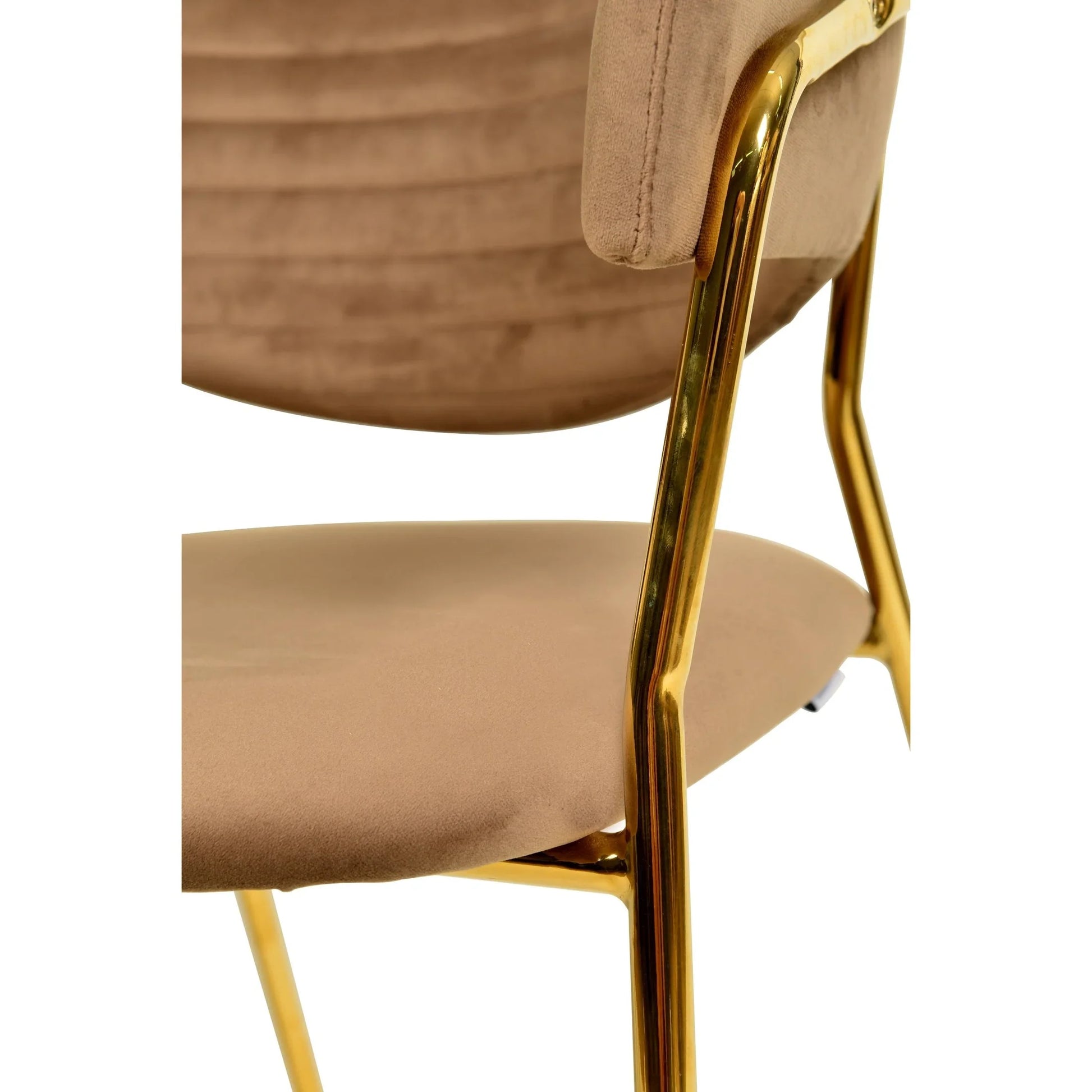 Bella Dining Chair Upholsted in Leather or Velvet in Gold Stainless Steel - Elax Furniture