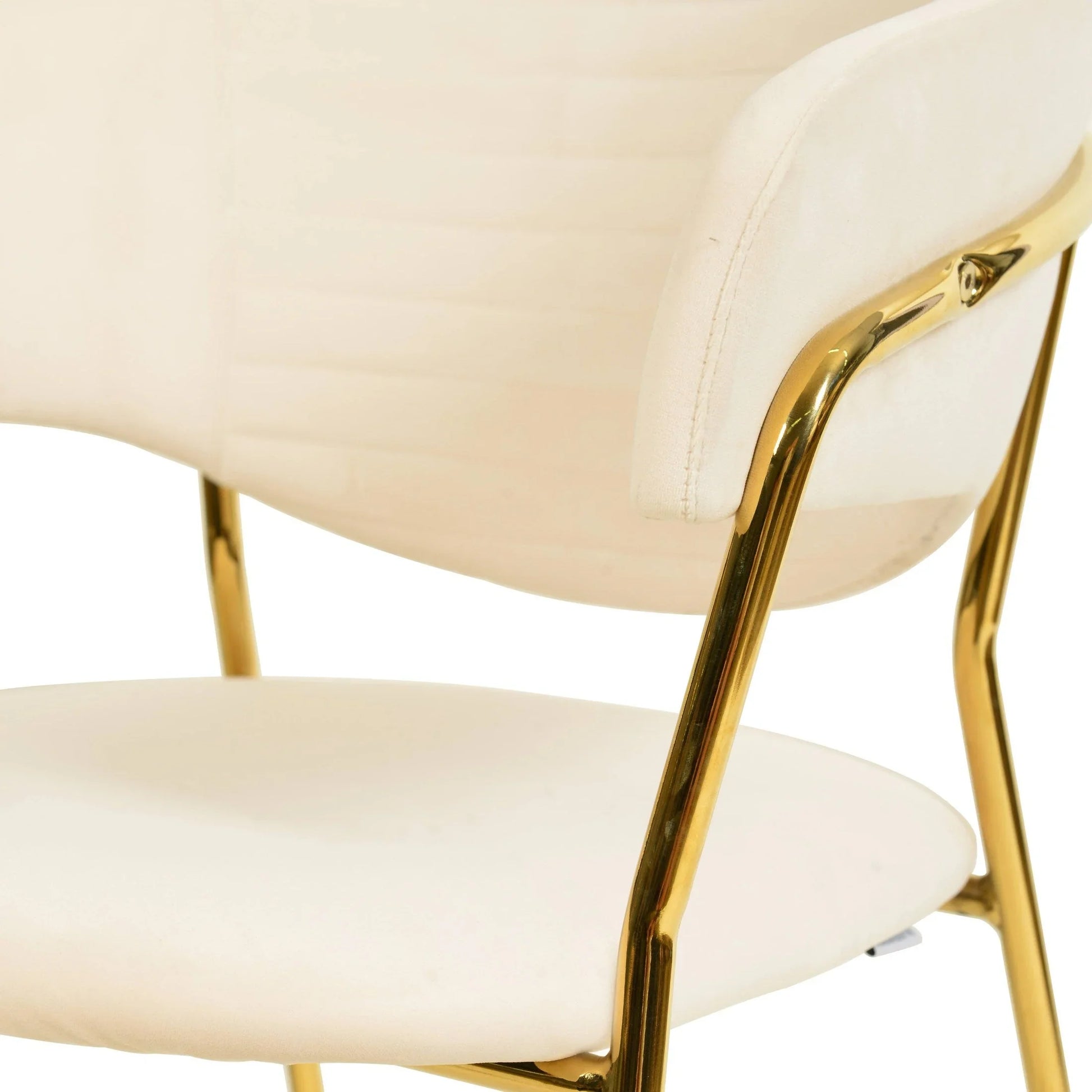 Bella Dining Chair Upholsted in Leather or Velvet in Gold Stainless Steel - Elax Furniture