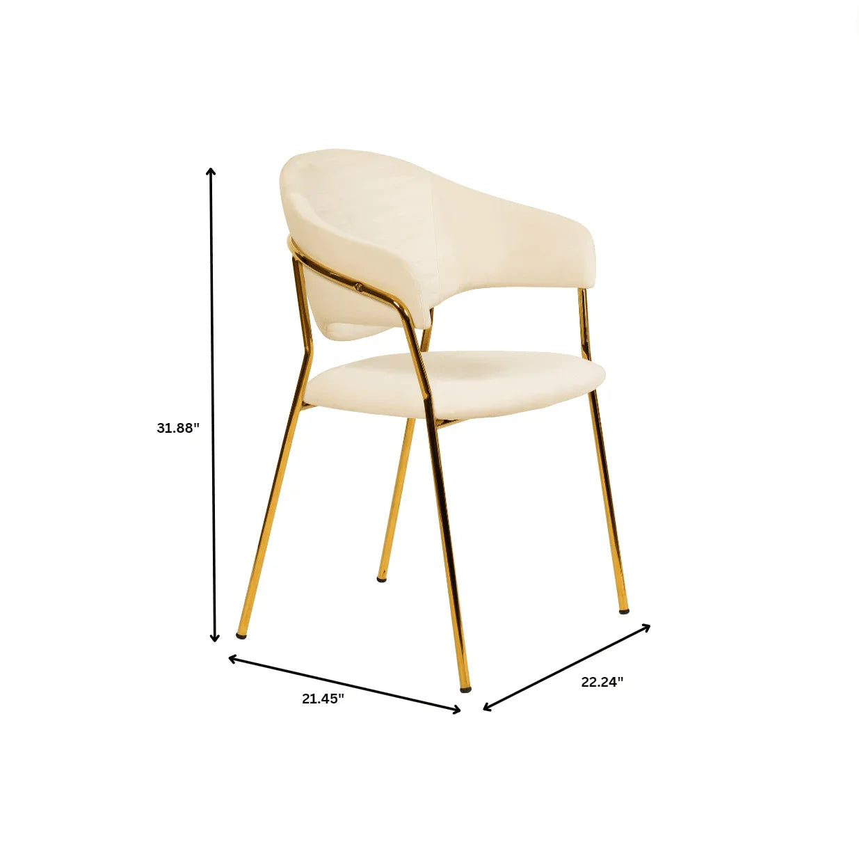 Bella Dining Chair Upholsted in Leather or Velvet in Gold Stainless Steel - Elax Furniture
