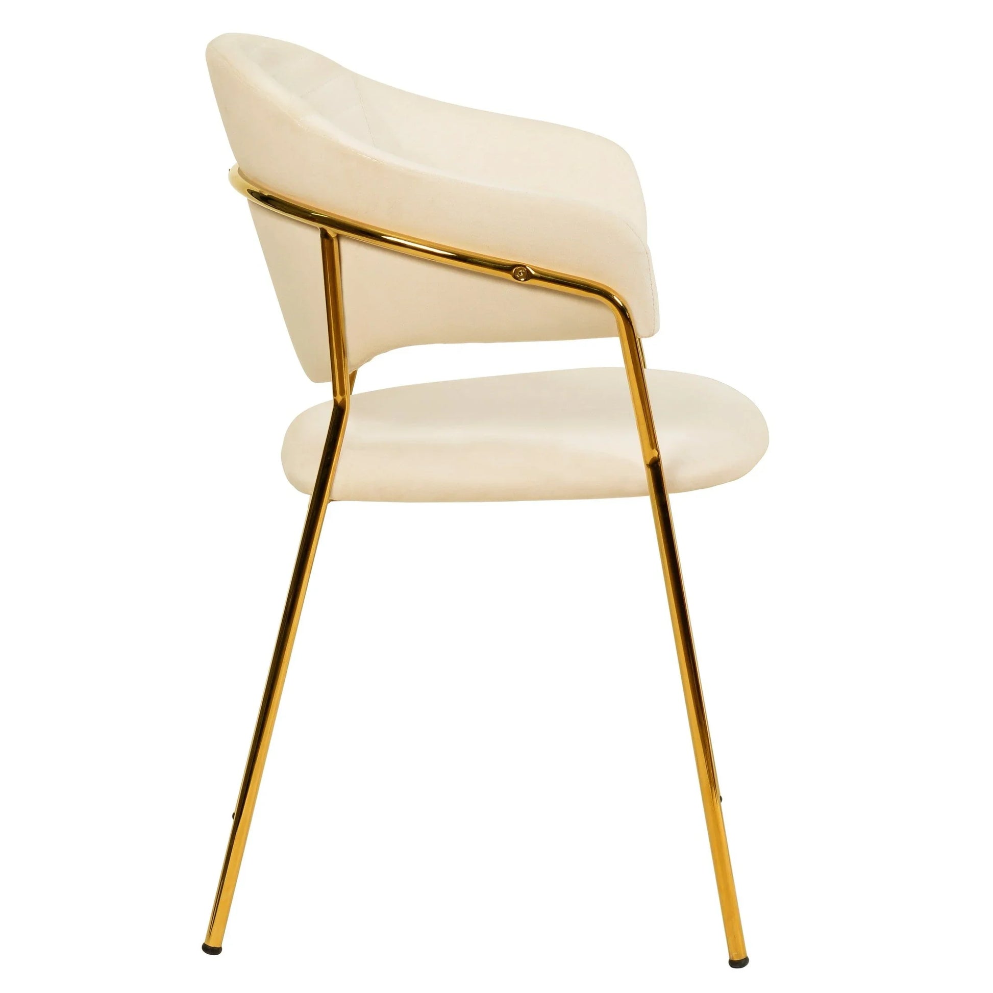 Bella Dining Chair Upholsted in Leather or Velvet in Gold Stainless Steel - Elax Furniture