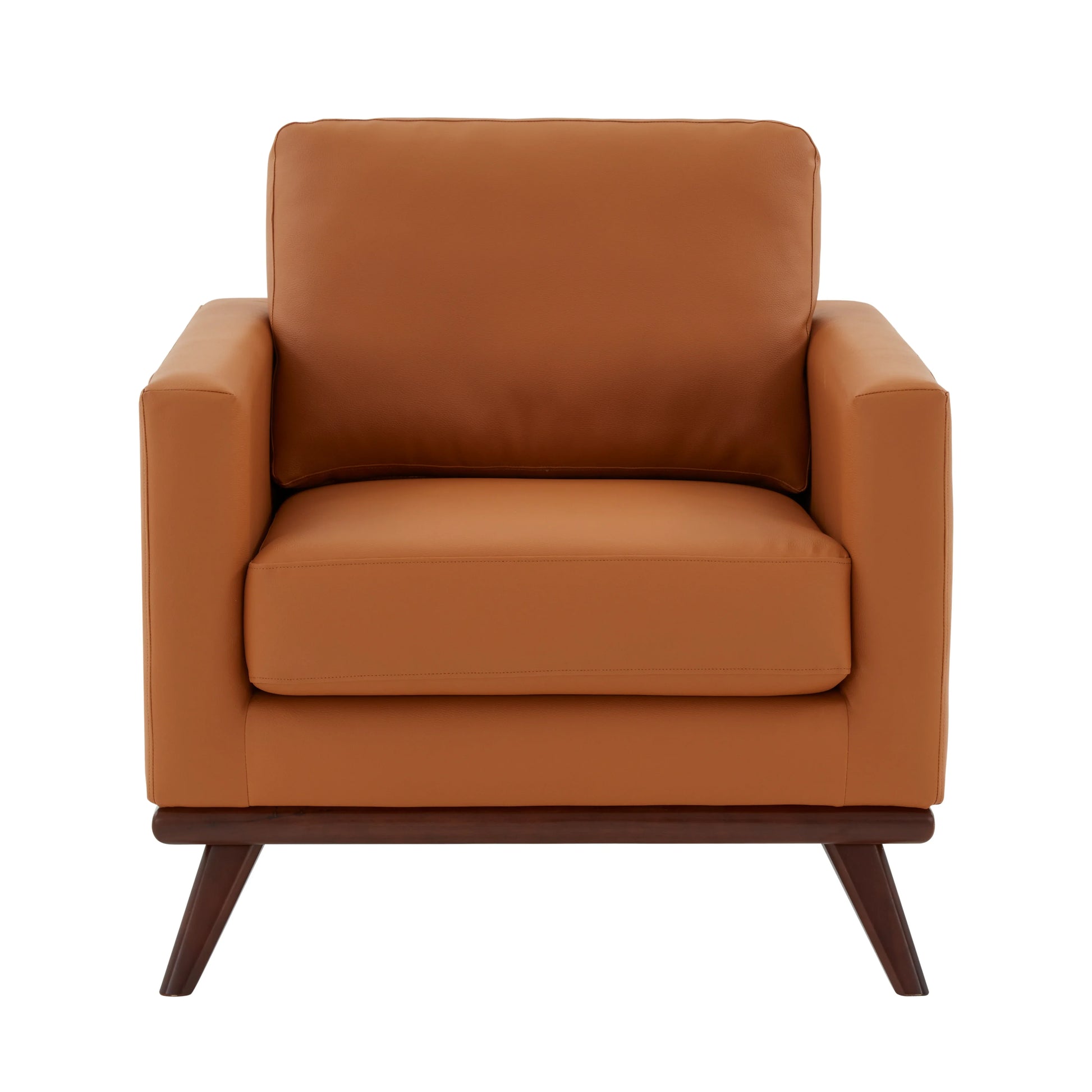 Chester Modern Leather Accent Arm Chair With Birch Wood Base - Elax Furniture