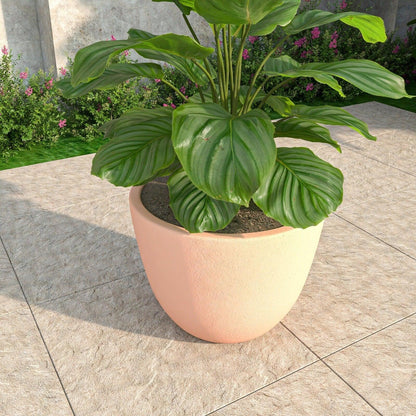 Dahlia Modern Fiberstone and MgO Clay Planter Pot for Indoor and Outdoor - Elax Furniture