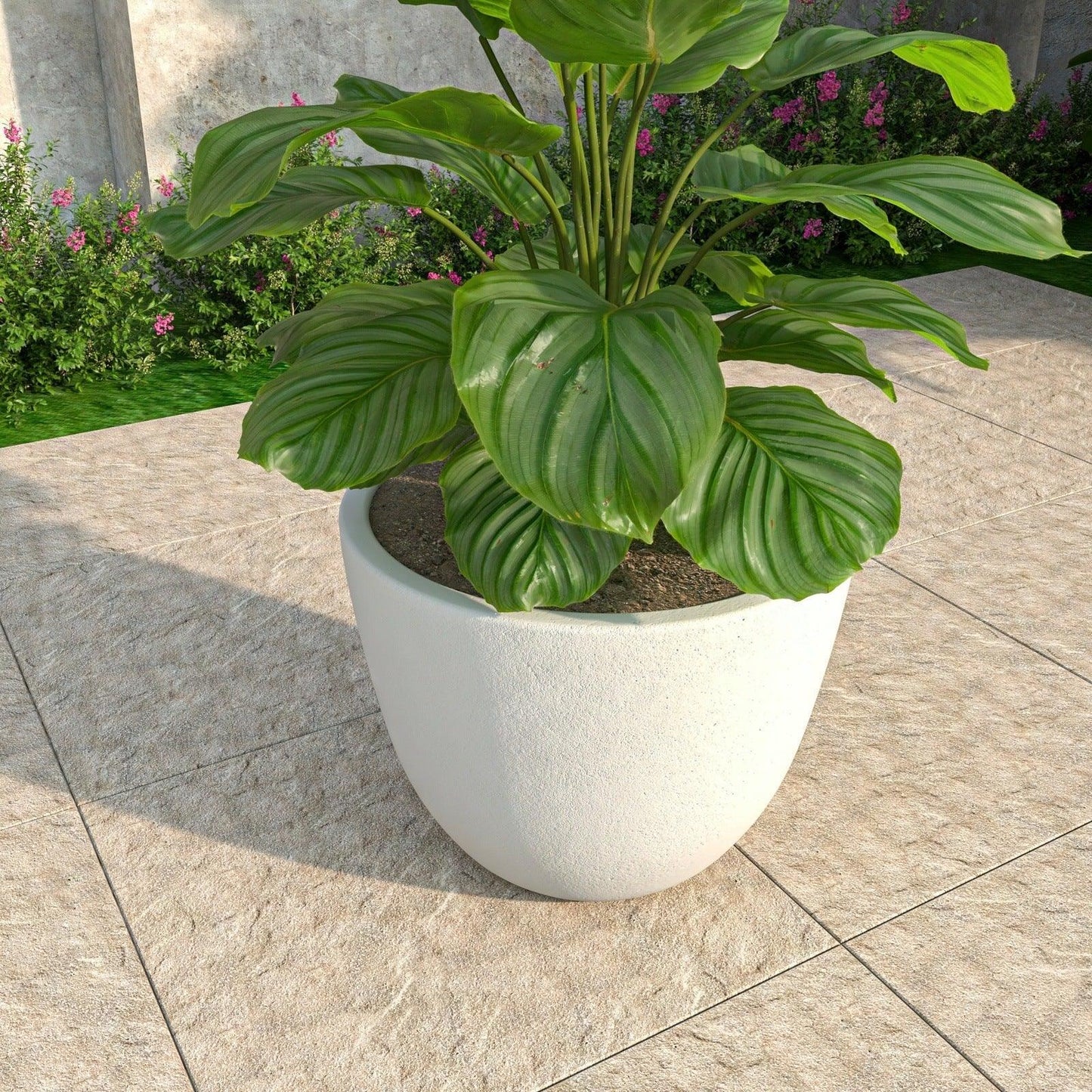 Dahlia Modern Fiberstone and MgO Clay Planter Pot for Indoor and Outdoor - Elax Furniture