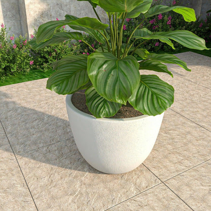 Dahlia Modern Fiberstone and MgO Clay Planter Pot for Indoor and Outdoor - Elax Furniture