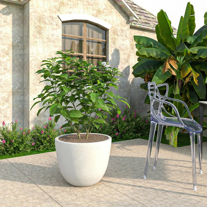 Dahlia Modern Fiberstone and MgO Clay Planter Pot for Indoor and Outdoor - Elax Furniture