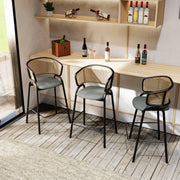 Ervilla Leather Bar Stool with Powder-Coated Stainless Steel Base and Curved Wicker Back Design - Elax Furniture