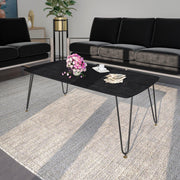 Elmwood Rectangular Coffee Table with Ash Wood Tabletop in Iron - Elax Furniture