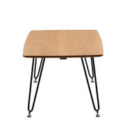 Elmwood Rectangular Coffee Table with Ash Wood Tabletop in Iron - Elax Furniture