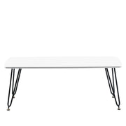 Elmwood Rectangular Coffee Table with Ash Wood Tabletop in Iron - Elax Furniture