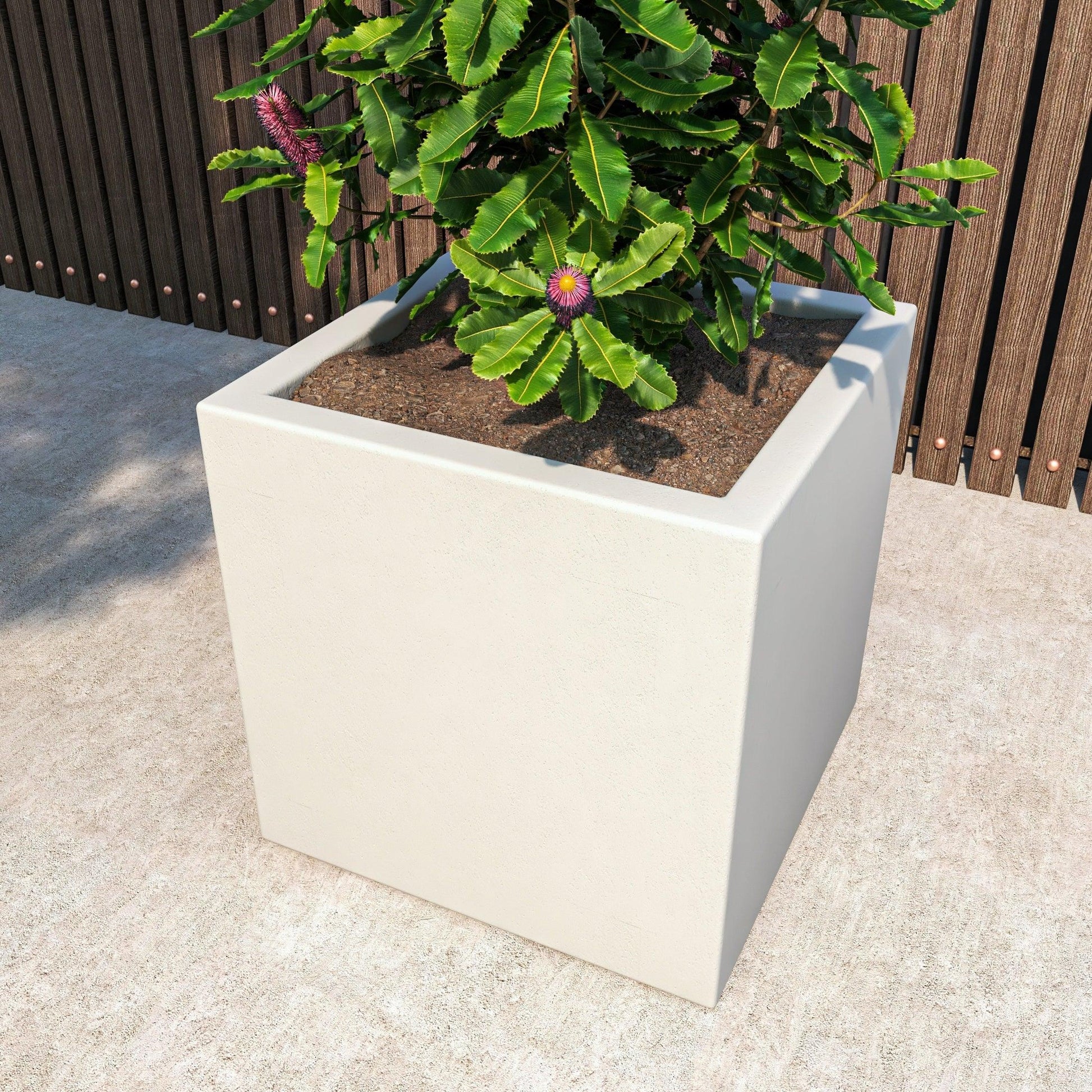 Fern Fiberstone and MGO Clay Mid-Century Modern Square Planter Pot for Indoor and Outdoor - Elax Furniture