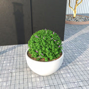 Grove Modern Fiberstone Round Planter Weather Resistant Design Plant Pot - Elax Furniture
