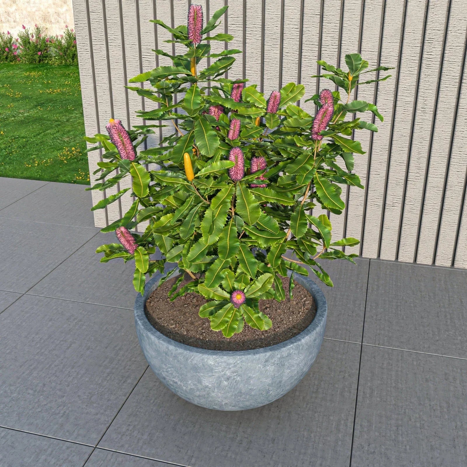 Iris Modern Round Planter Pot in Fiberstone and Clay Weather Resistant Design - Elax Furniture