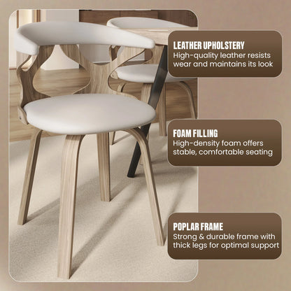 Klyne Modern Wooden Dining Chair With Walnut Color Frame - Elax Furniture