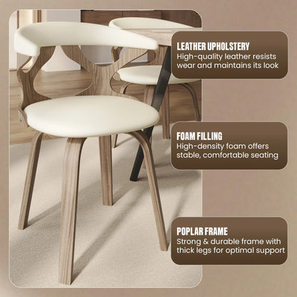 Klyne Modern Wooden Dining Chair With Walnut Color Frame - Elax Furniture