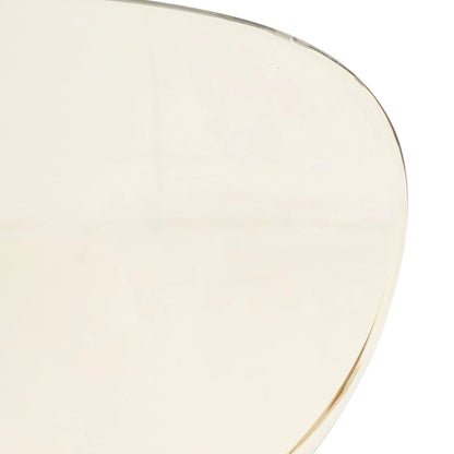 Oyster Modern Transparent Side Chair in Black Base - Elax Furniture