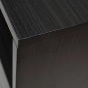 Rochester Modern Rectangular TV Stand: Enclosed Storage & Powder-Coated Iron Legs - Elax Furniture