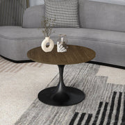 Verve Round Coffee Table with MDF/Resin/Sintered Stone Tabletop and Black Stainless Steel Base MDF 27 Inches Wide Dark Brown Coffee Table Leisuremod