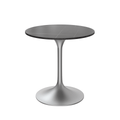 Sintered Stone
