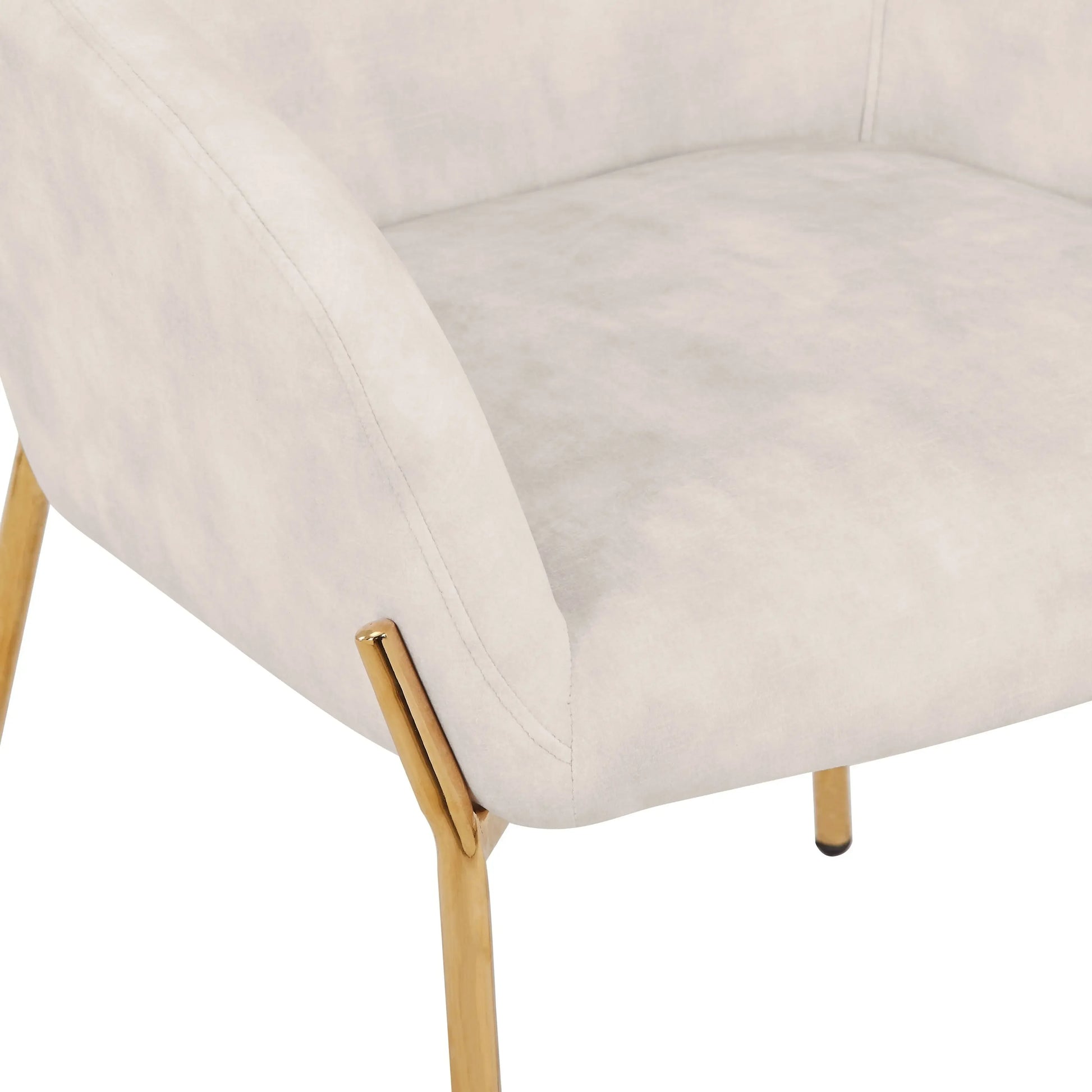 Zaire Upholsters Dining Chair in Velvet/Leather/Boucle with Gold Chrome Iron Set of 2 - Elax Furniture