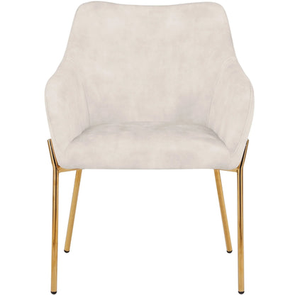 Zaire Upholsters Dining Chair in Velvet/Leather/Boucle with Gold Chrome Iron - Elax Furniture