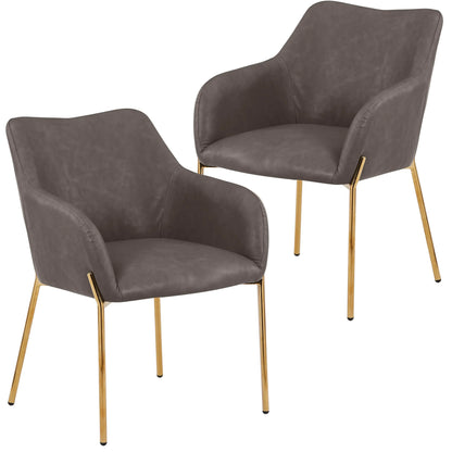 Zaire Upholsters Dining Chair in Velvet/Leather/Boucle with Gold Chrome Iron Set of 2 - Elax Furniture