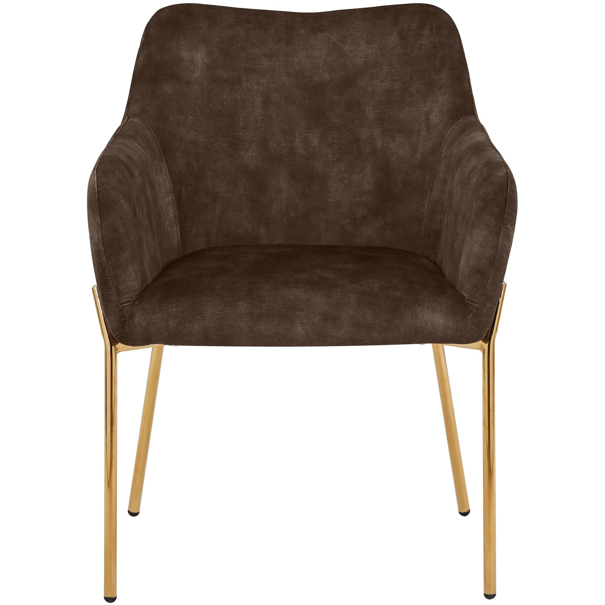 Zaire Upholsters Dining Chair in Velvet/Leather/Boucle with Gold Chrome Iron Set of 2 - Elax Furniture