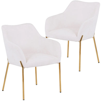 Zaire Upholsters Dining Chair in Velvet/Leather/Boucle with Gold Chrome Iron Set of 2 - Elax Furniture