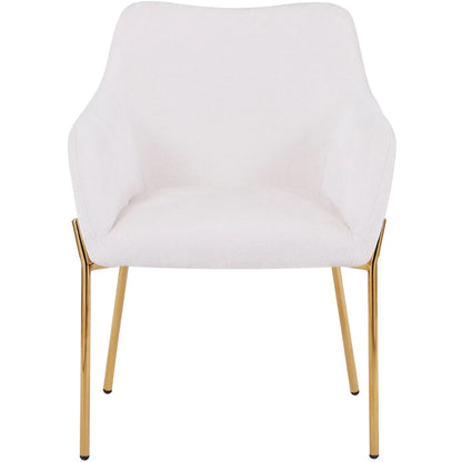 Zaire Upholsters Dining Chair in Velvet/Leather/Boucle with Gold Chrome Iron Set of 2 - Elax Furniture