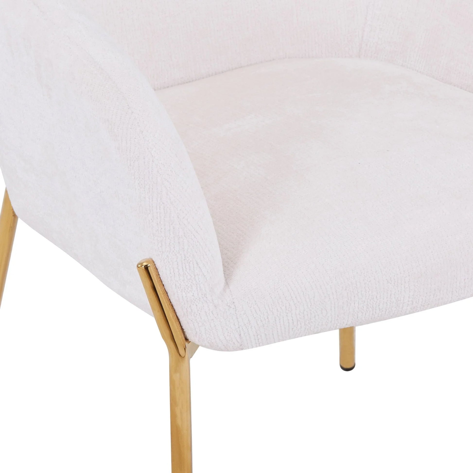 Zaire Upholsters Dining Chair in Velvet/Leather/Boucle with Gold Chrome Iron - Elax Furniture