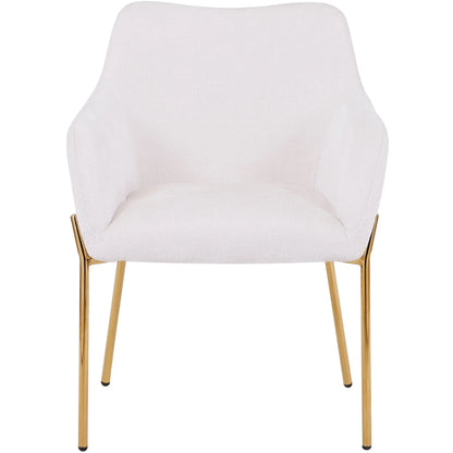 Zaire Upholsters Dining Chair in Velvet/Leather/Boucle with Gold Chrome Iron - Elax Furniture